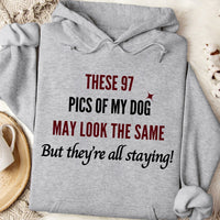 Load image into Gallery viewer, These 97 pics of my dog may look the same, but they&#39;re all staying! - Dog Mom Hoodie
