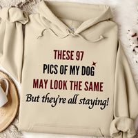 Load image into Gallery viewer, These 97 pics of my dog may look the same, but they&#39;re all staying! - Dog Mom Hoodie
