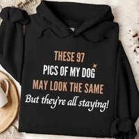 Load image into Gallery viewer, These 97 pics of my dog may look the same, but they&#39;re all staying! - Dog Mom Hoodie
