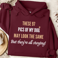 Load image into Gallery viewer, These 97 pics of my dog may look the same, but they&#39;re all staying! - Dog Mom Hoodie
