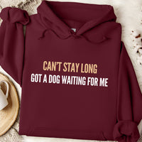 Load image into Gallery viewer, Can't stay long, got a dog waiting for me - Unisex Fit Hoodie
