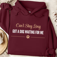 Load image into Gallery viewer, Can't stay long, got a dog waiting for me - Funny Dog Mom Hoodie
