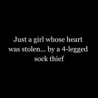 Load image into Gallery viewer, Just a girl whose heart was stolen ... by a 4-legged sock thief- Funny T-Shirt For Dog Moms
